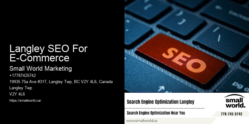 Langley SEO For E-Commerce