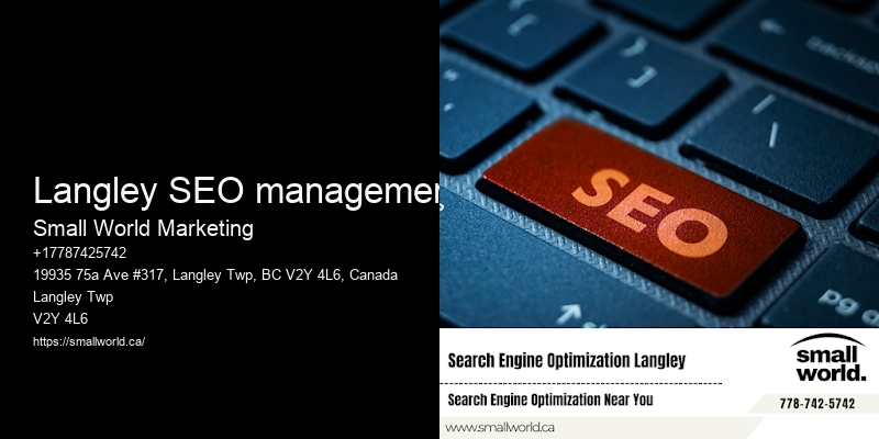 Langley SEO management