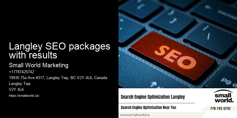 Langley SEO packages with results