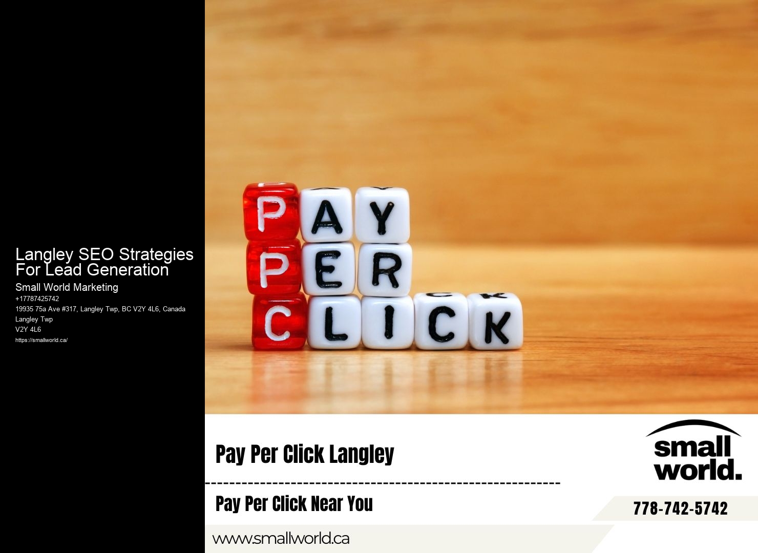 Professional SEO Solutions Langley SEO Strategies For Lead Generation