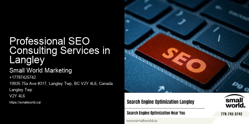 Professional SEO Consulting Services in Langley