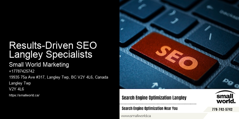 Results-Driven SEO Langley Specialists