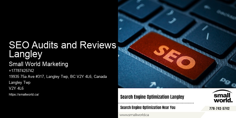SEO Audits and Reviews Langley