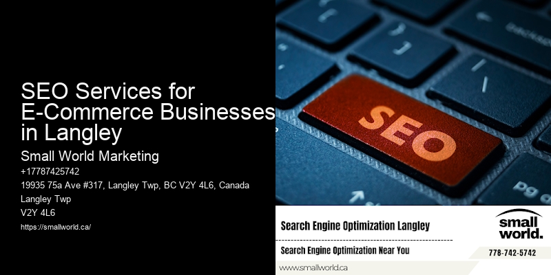 SEO Services for E-Commerce Businesses in Langley