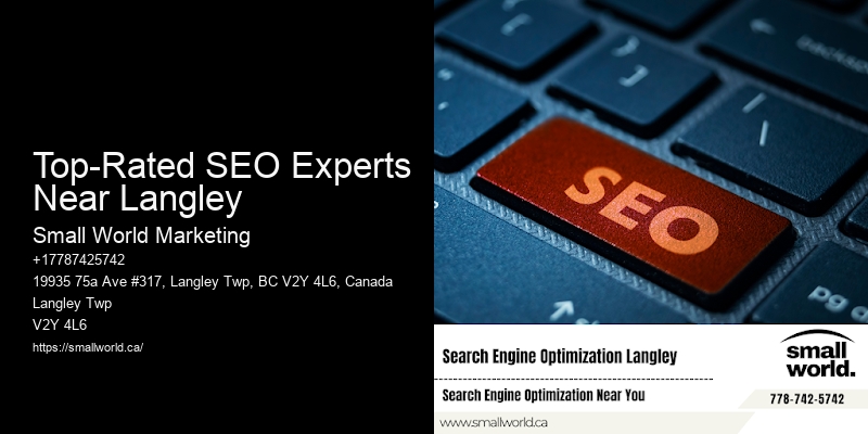 Top-Rated SEO Experts Near Langley