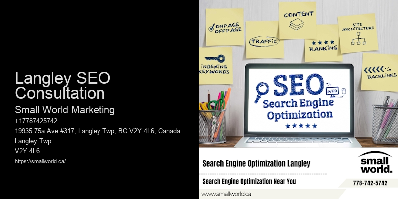 Langley SEO Consultation
