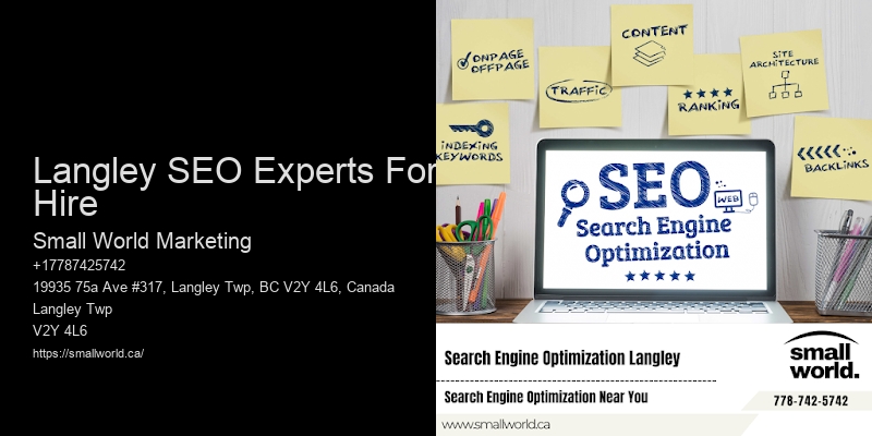Langley SEO Experts For Hire