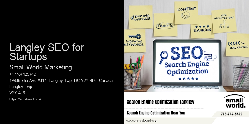 Langley SEO for Startups