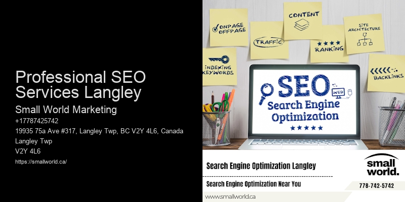 Professional SEO Services Langley