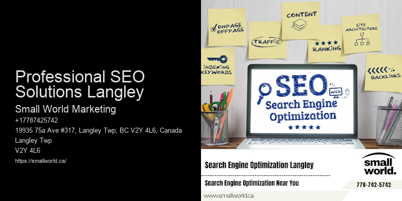 Professional SEO Solutions Langley