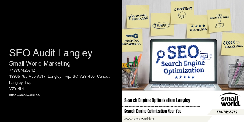 SEO Audit Langley