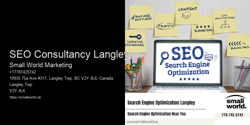 SEO Consultancy Langley