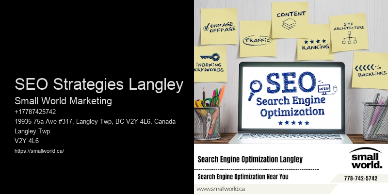 SEO Strategies Langley