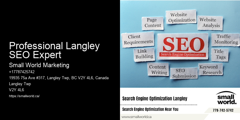 Professional Langley SEO Expert