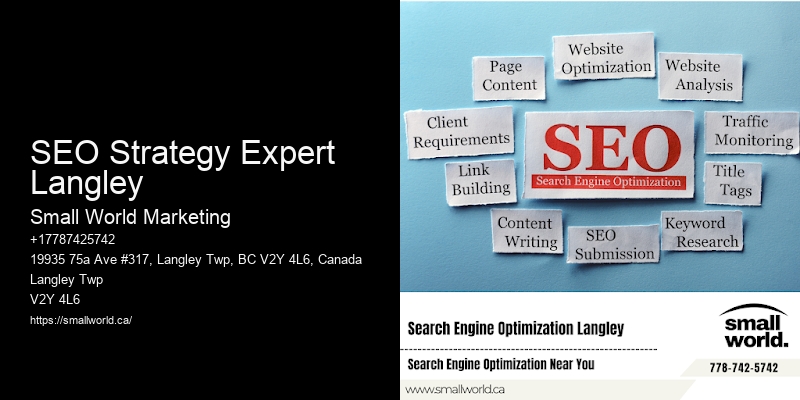 SEO Strategy Expert Langley