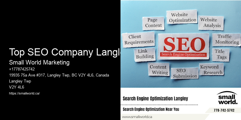 Top SEO Company Langley