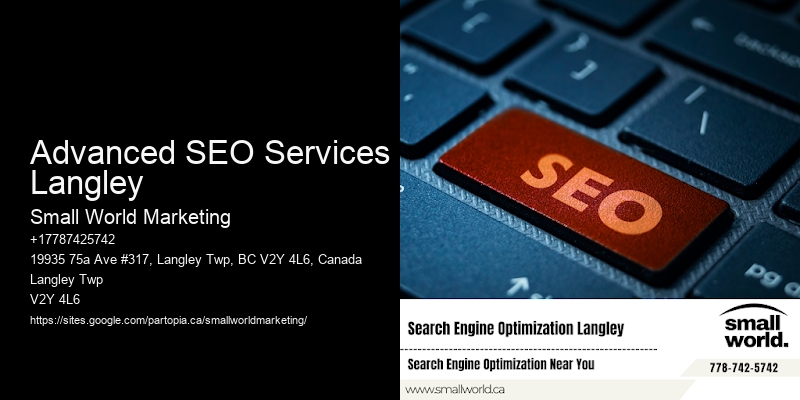 Advanced SEO Services Langley