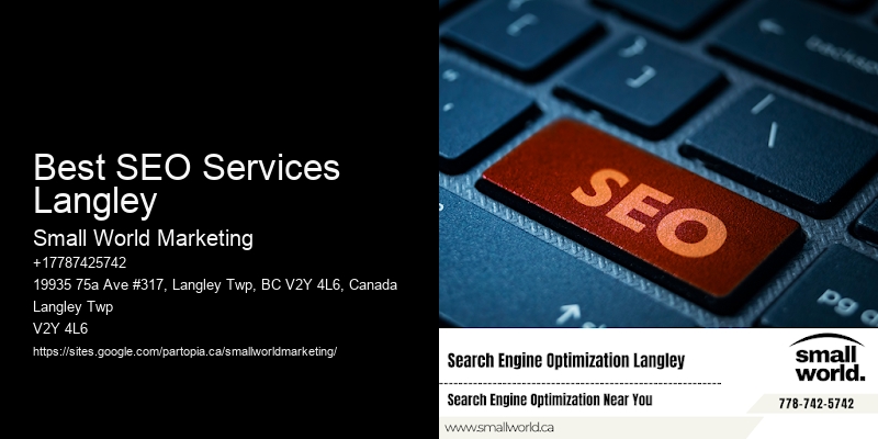 Best SEO Services Langley