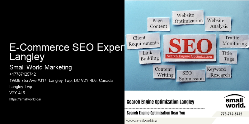 E-Commerce SEO Experts Langley