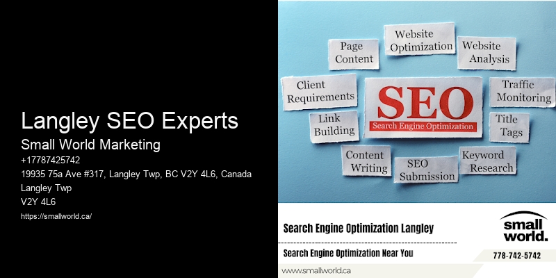 Langley SEO Experts
