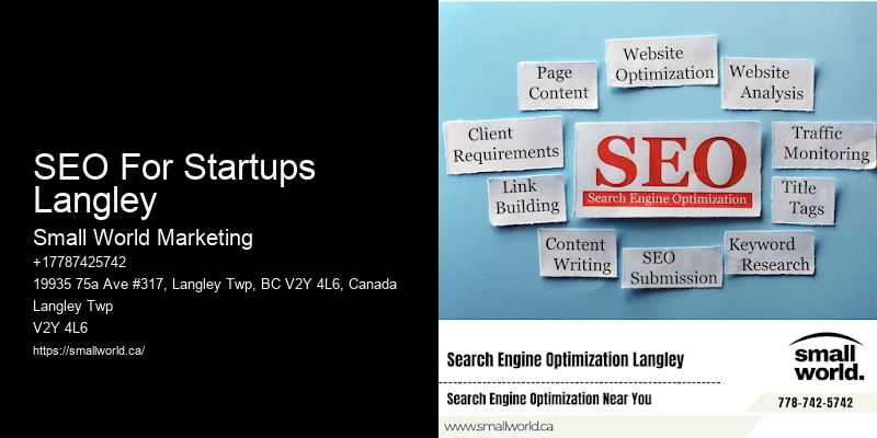 SEO For Startups Langley
