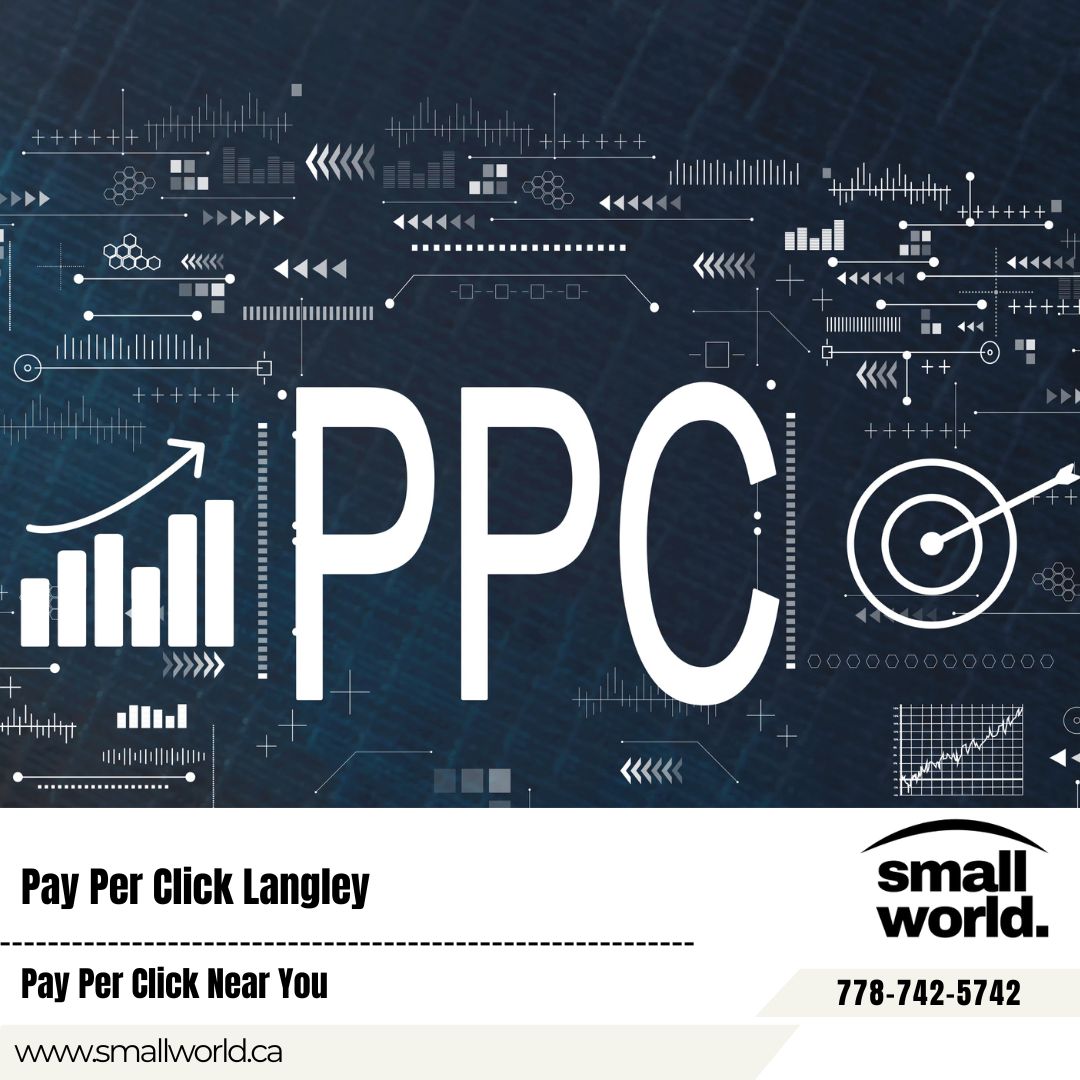 Organic SEO Langley SEO Company