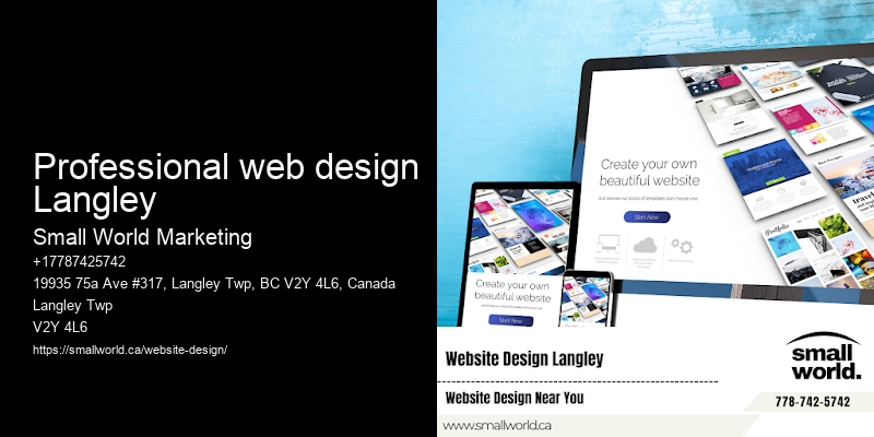 Professional web design Langley