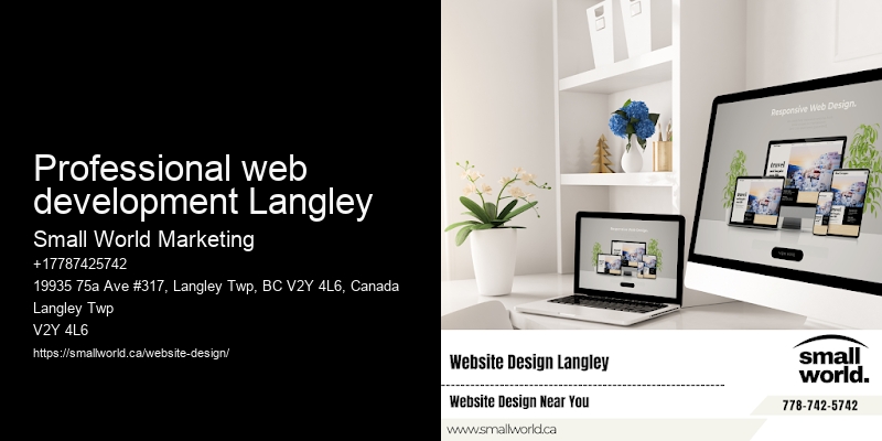 Professional web development Langley