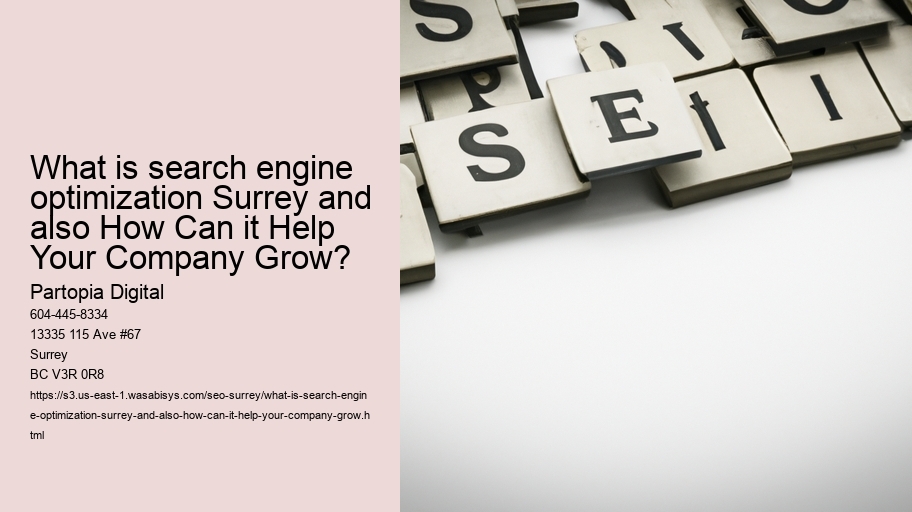 What is search engine optimization Surrey and also How Can it Help Your Company Grow?