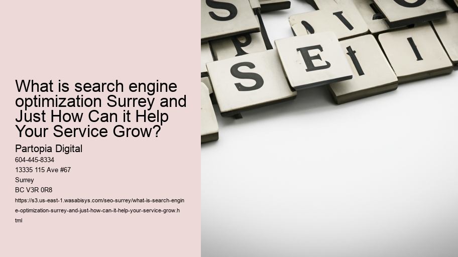 What is search engine optimization Surrey and Just How Can it Help Your Service Grow?