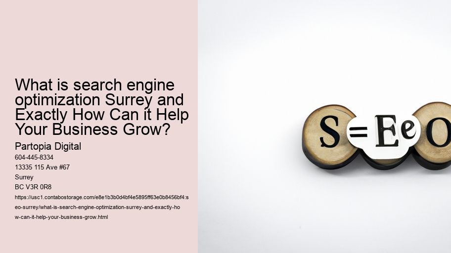 What is search engine optimization Surrey and Exactly How Can it Help Your Business Grow?