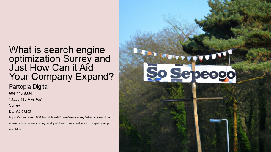 What is search engine optimization Surrey and Just How Can it Aid Your Company Expand?