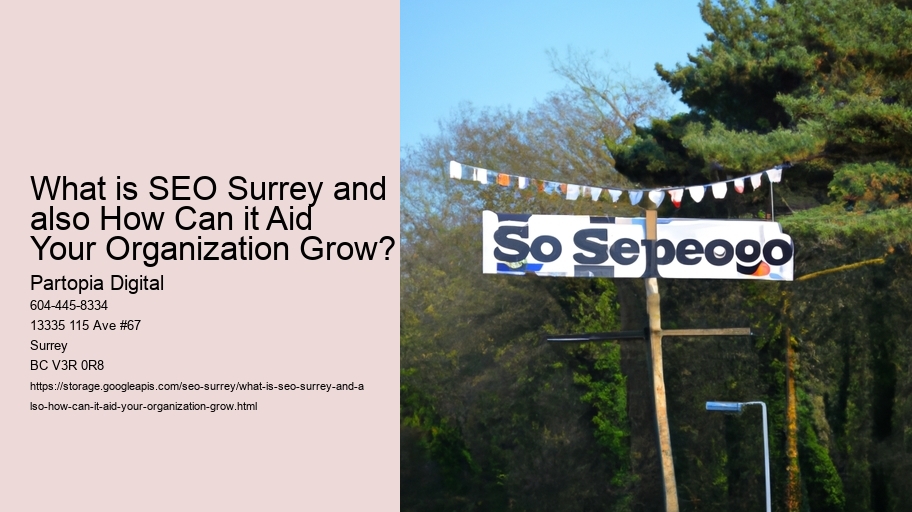 What is SEO Surrey and also How Can it Aid Your Organization Grow?