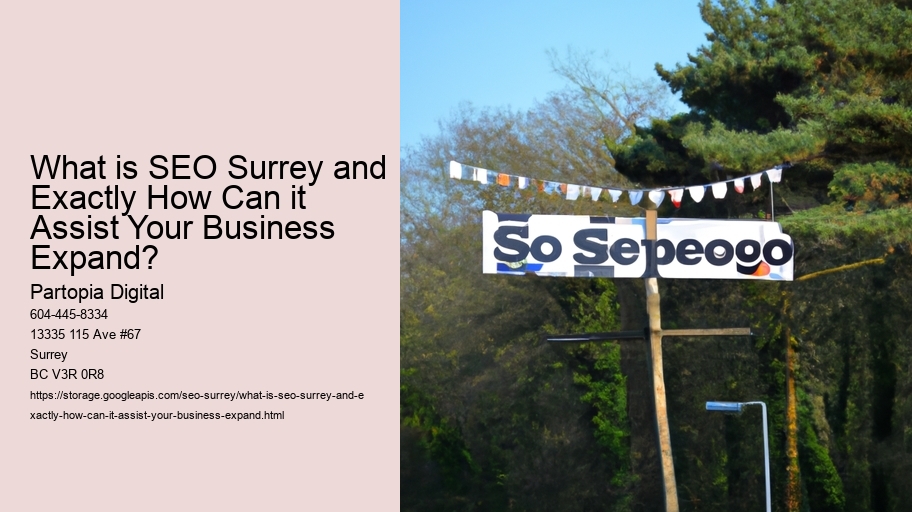 What is SEO Surrey and Exactly How Can it Assist Your Business Expand?