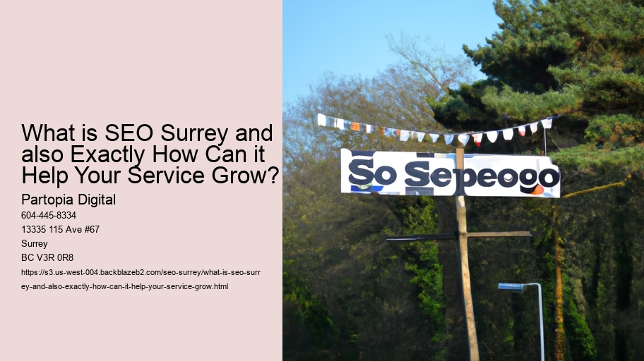What is SEO Surrey and also Exactly How Can it Help Your Service Grow?
