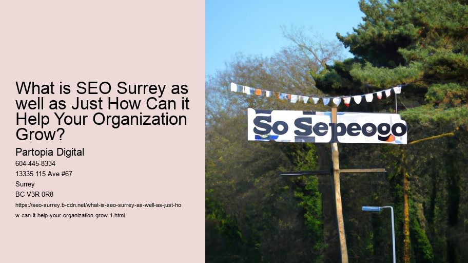 What is SEO Surrey as well as Just How Can it Help Your Organization Grow?
