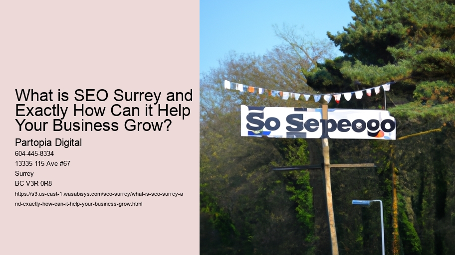 What is SEO Surrey and Exactly How Can it Help Your Business Grow?