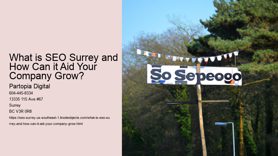 What is SEO Surrey and How Can it Aid Your Company Grow?