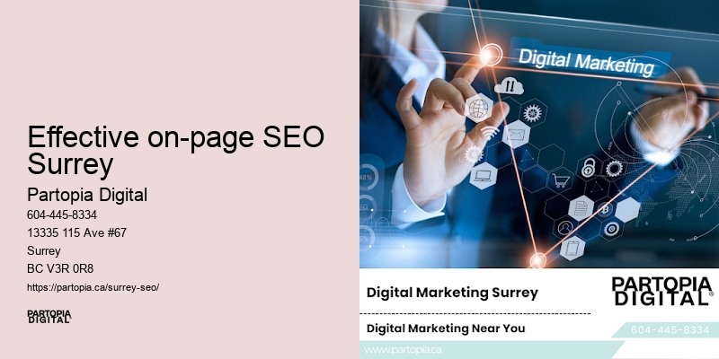 SEO expert in Effective on-page SEO Surrey BC