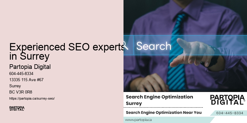 Experienced SEO experts in Surrey SEO execution plan