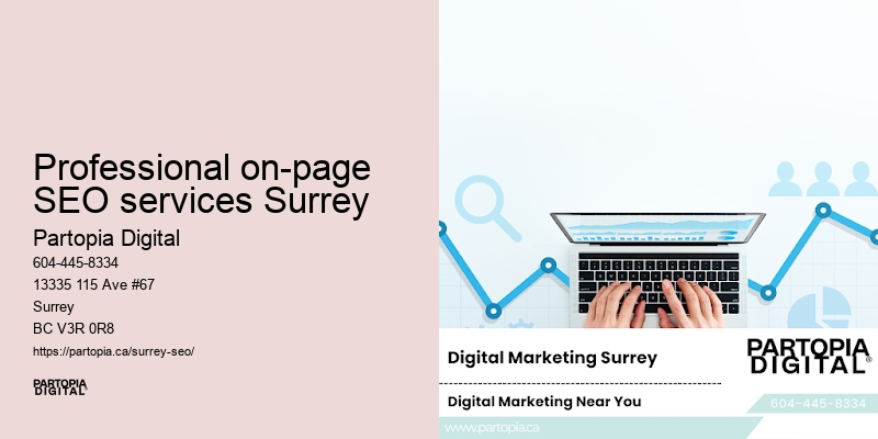 Top SEO Professional on-page SEO services Surrey