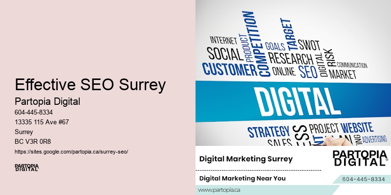 Startup SEO Packages Effective SEO Surrey