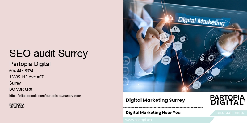 Professional SEO management SEO audit Surrey
