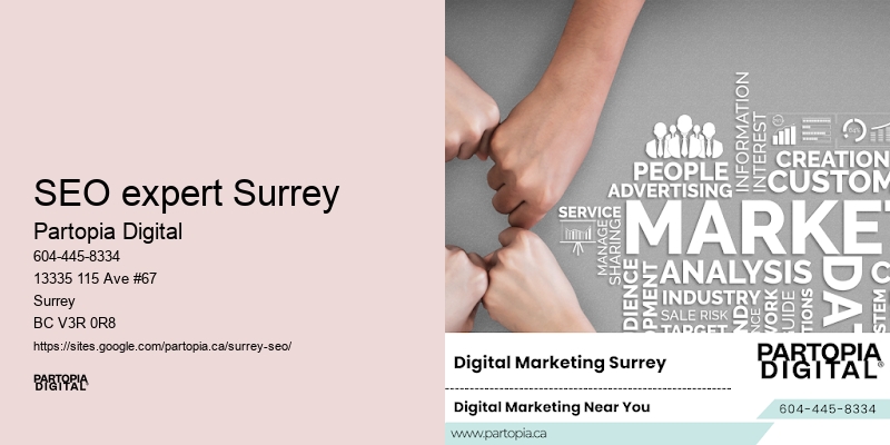 Best SEO Packages SEO expert Surrey Startups