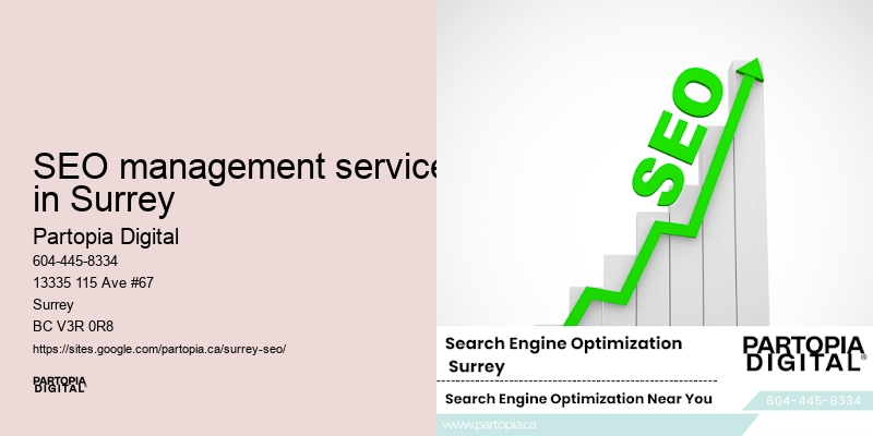 SEO management services in Surrey SEO plans
