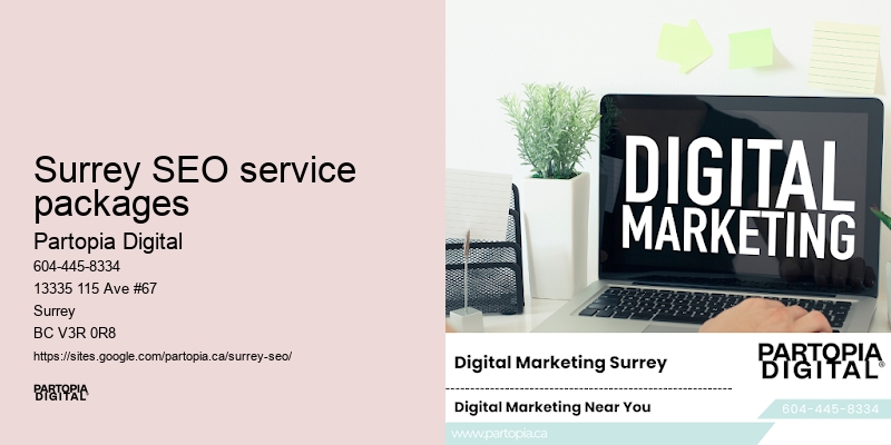 Surrey SEO service packages SEO for startups