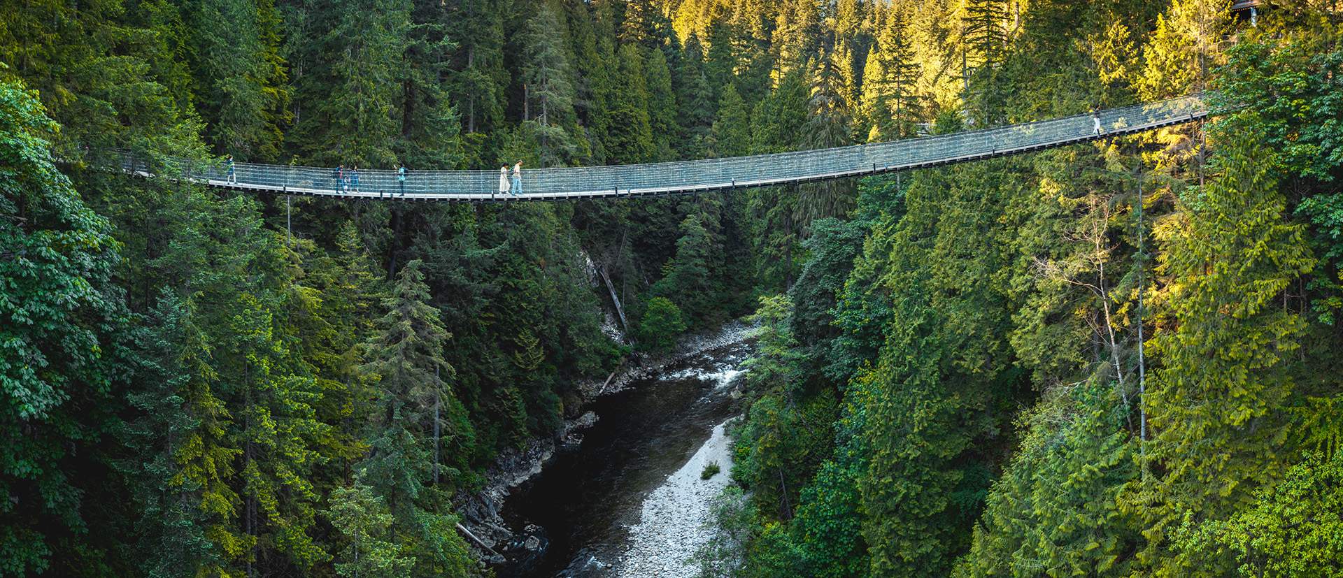 Best Guided Tours in Vancouver