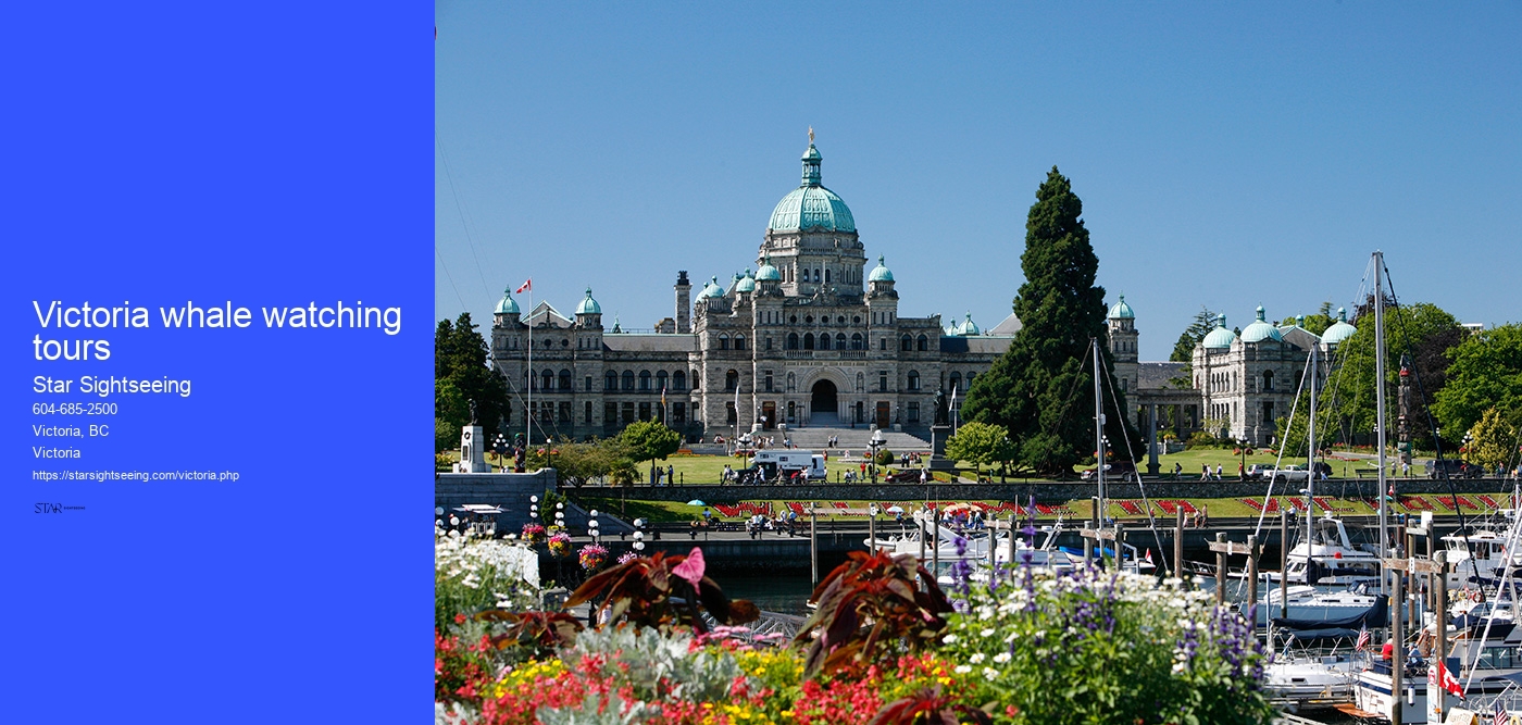 Victoria whale watching tours