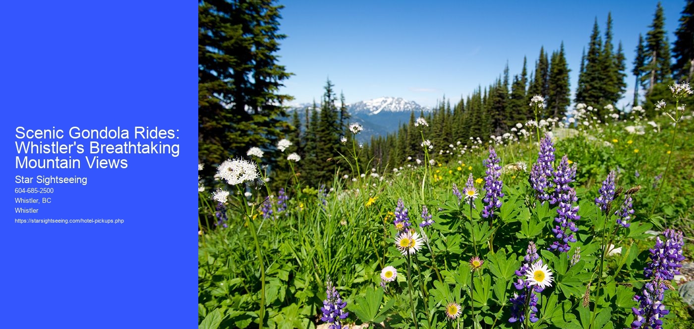 Scenic Gondola Rides: Whistler's Breathtaking Mountain Views