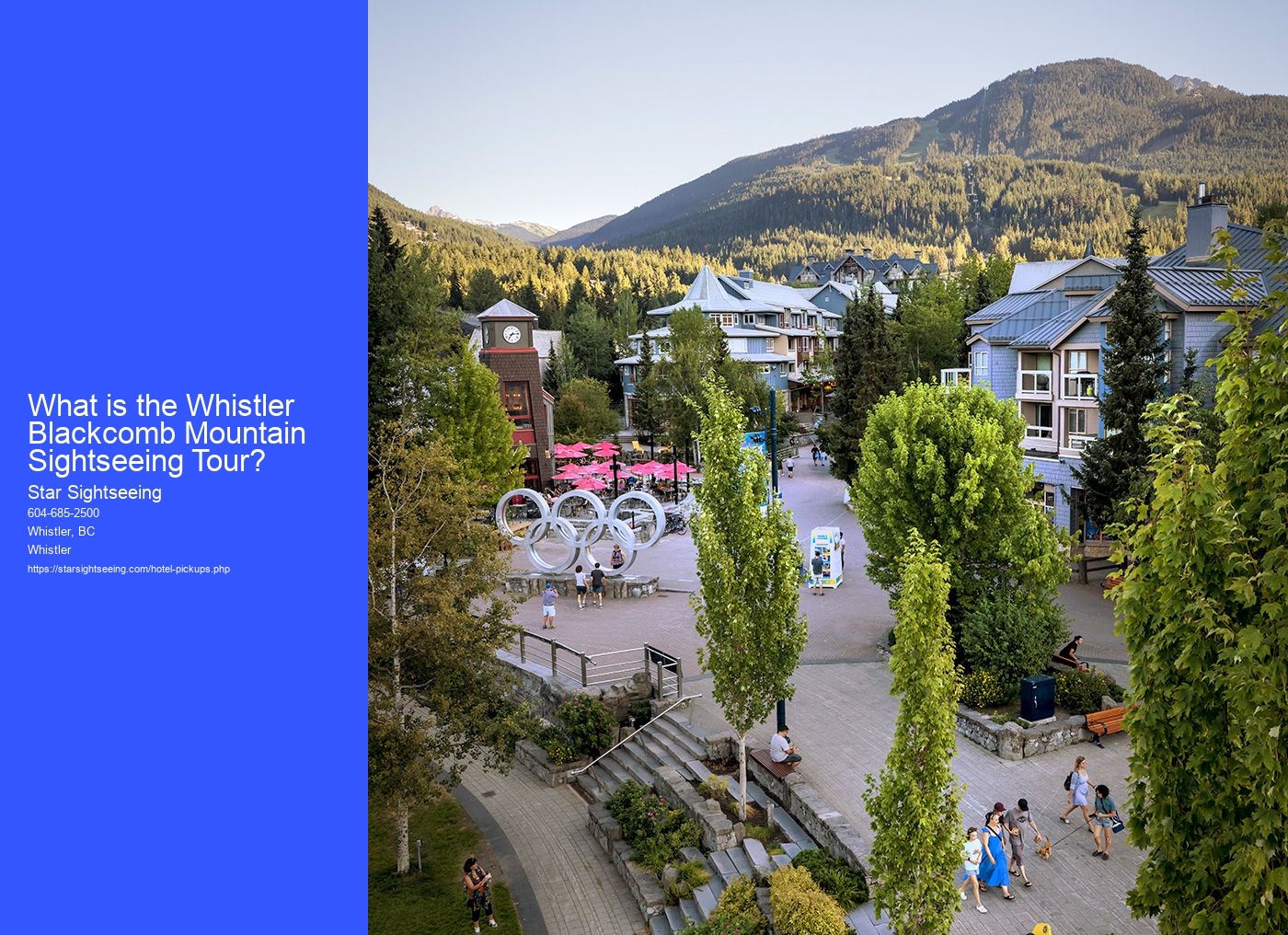 What is the Whistler Blackcomb Mountain Sightseeing Tour?